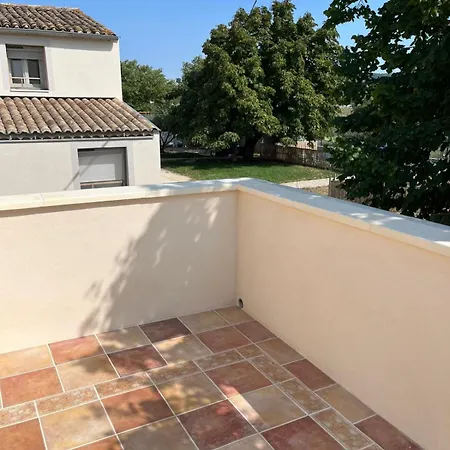 L'olivière Saint-Paul-Trois-Châteaux